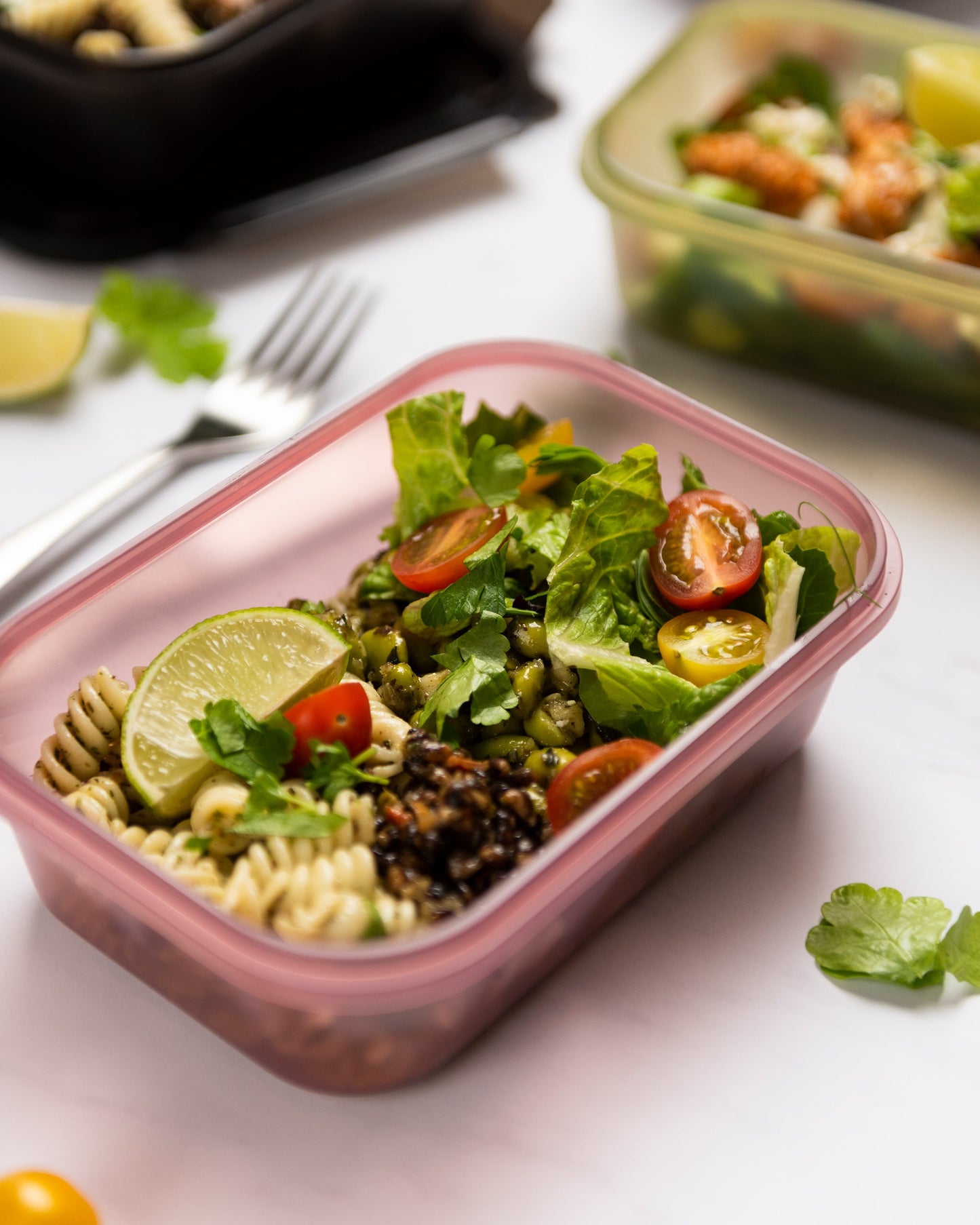 food-storage-container-deep-rose-w0 Smartshake_Food_Storage_Container_Deep_Rose_Lifestyle.jpg